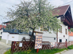 Penzión U Koníka Liptovsky Jan
